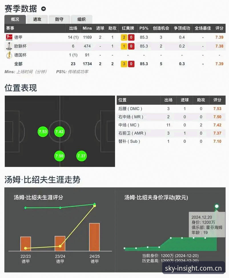 星空体育平台使用必备知识：权威洞察CN赛事数据评测实用指南